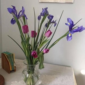 Meet your Posher, Cathy